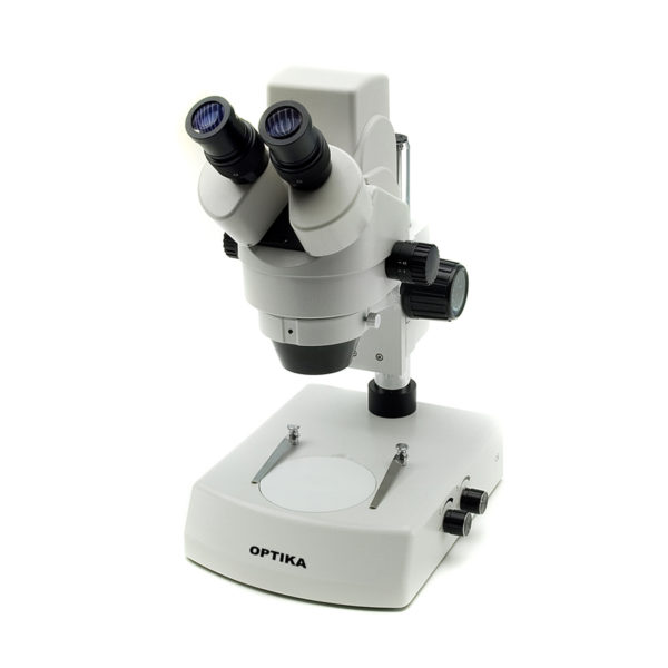 Optika stereo microscope