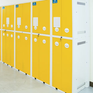 laboratory storage cabinets