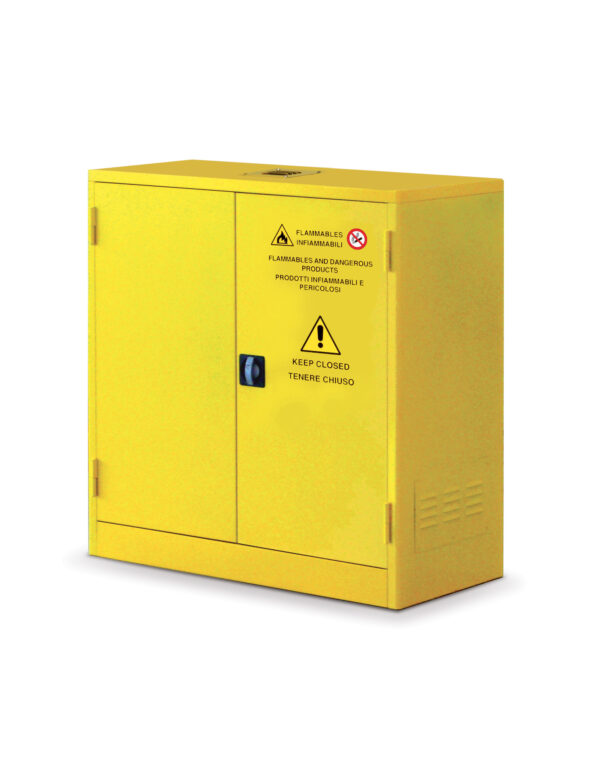 Flammable Liquid Storage Cabinet - SICUR 100, small
