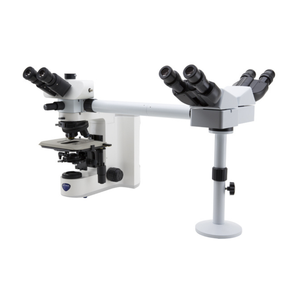 Discussion Microscope