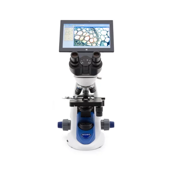 Upright Microscope