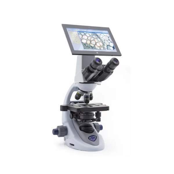 Upright Microscope