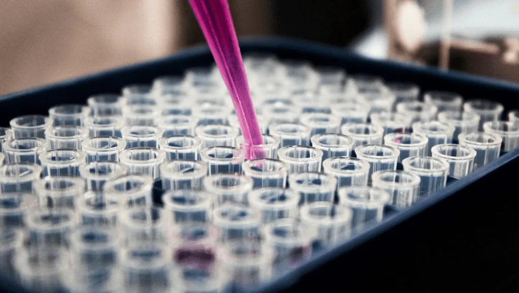 PCR