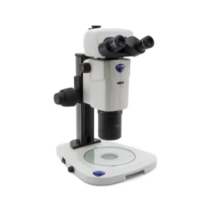 Stereo Microscope