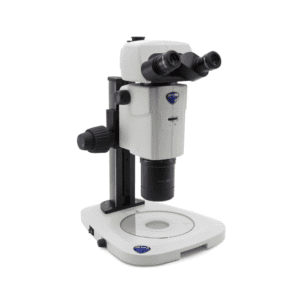 Stereo Microscope