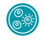 Live Cell Imaging Fluorescence Module