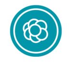 Live Cell Imaging Organoid Analysis Module