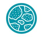 Live Cell Imaging iPSC Module