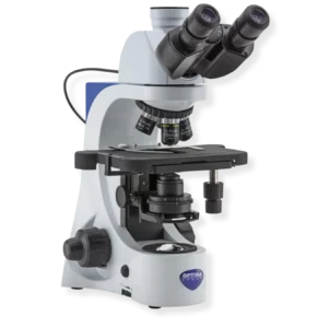 Upright Microscopes