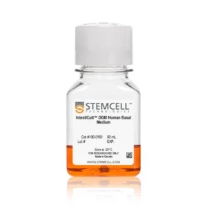 human colorectal cancer organoids