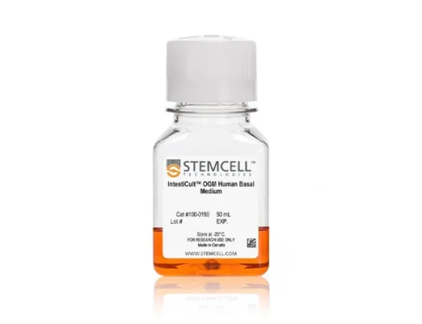 human colorectal cancer organoids