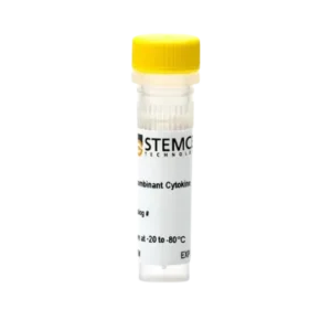 CD40 Ligand