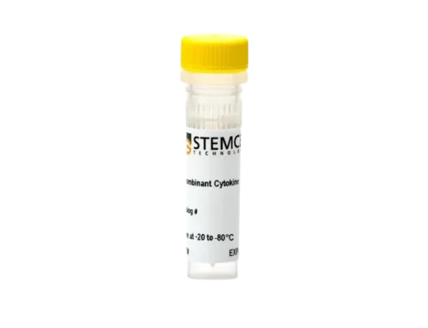 CD40 Ligand