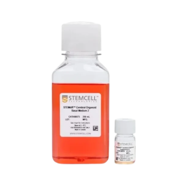 Cerebral organoid maturation kit