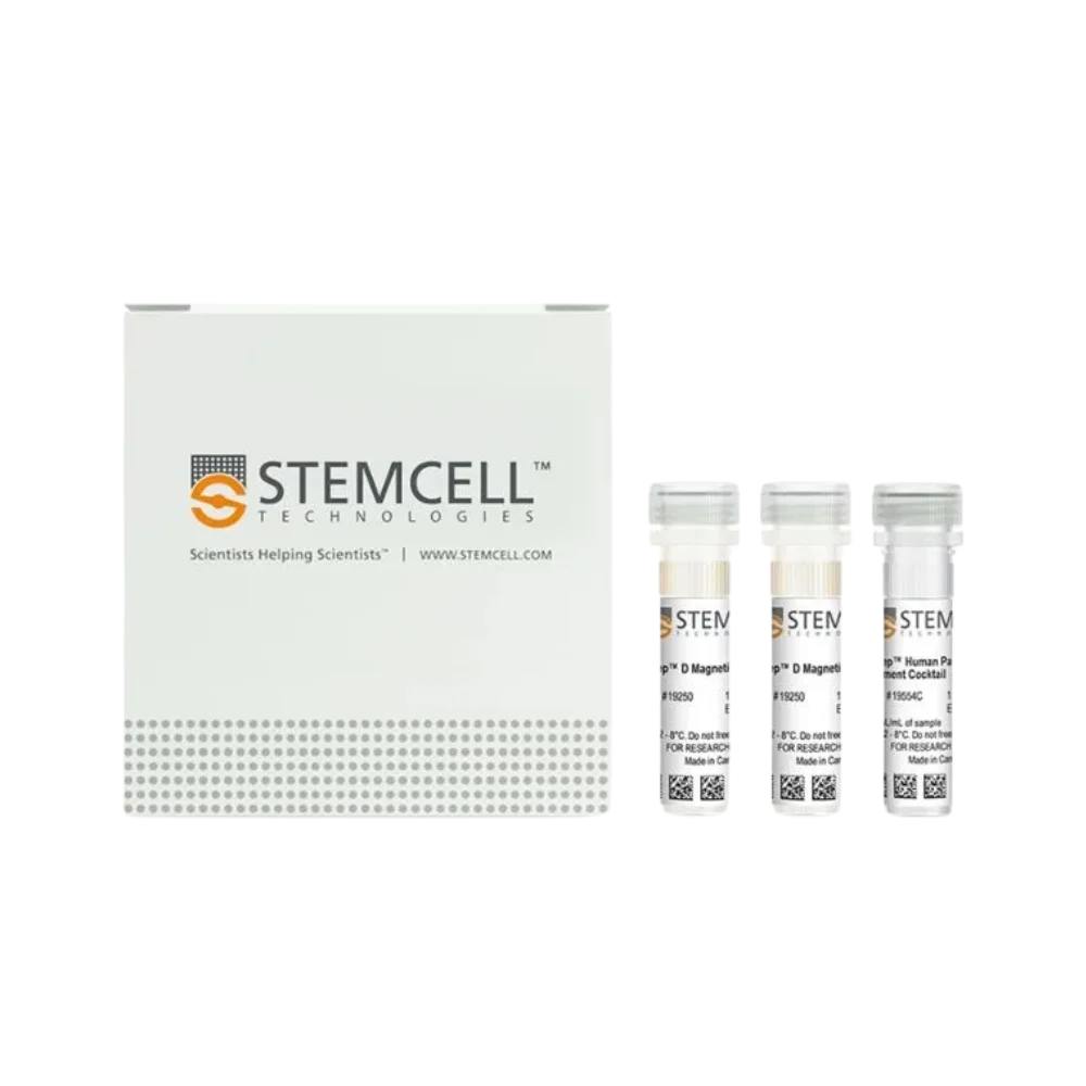 Human B Cell Enrichment Kit