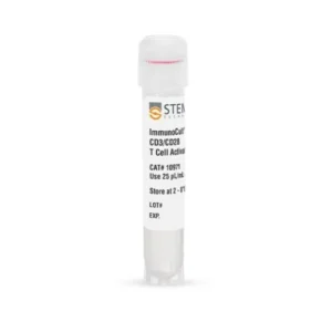 Human T cell activation