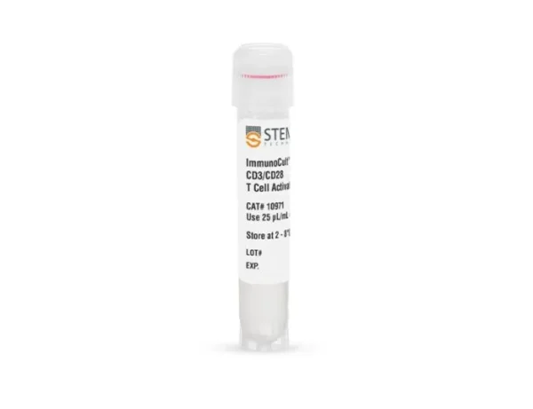 Human T cell activation