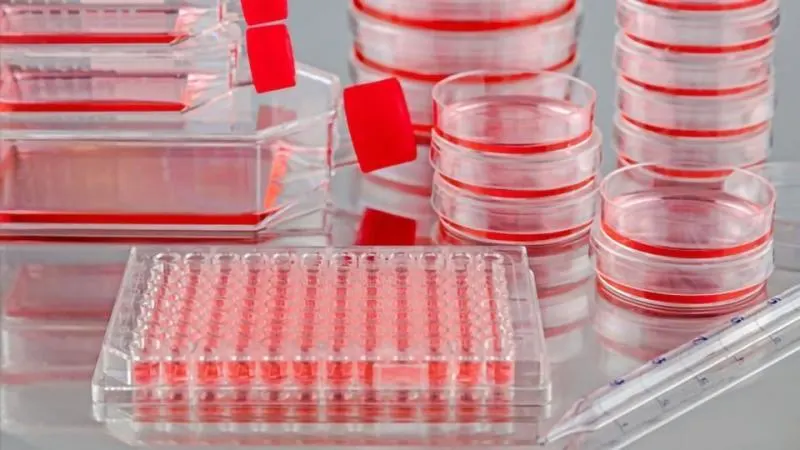 Cell Storage Media