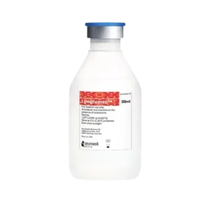 mononuclear cells