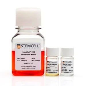 mouse intestinal organoids