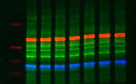 AzureSpot_TotalStain-NIR