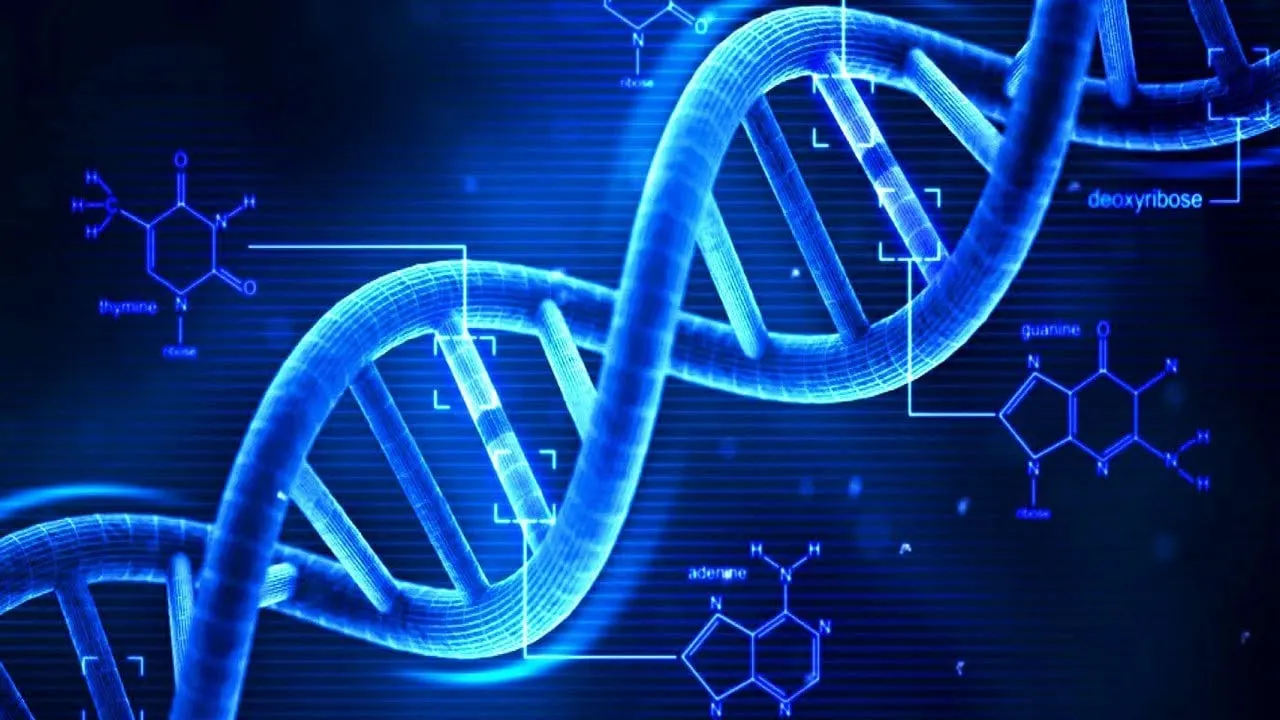 Biomolecular