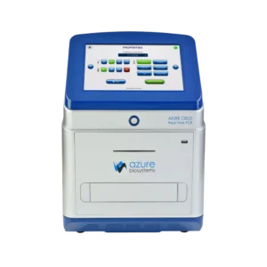 Real-Time PCR