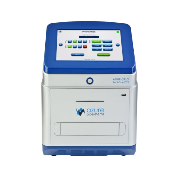 Real-Time PCR