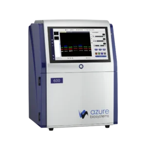 western blot imaging