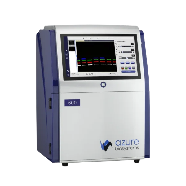 western blot imaging