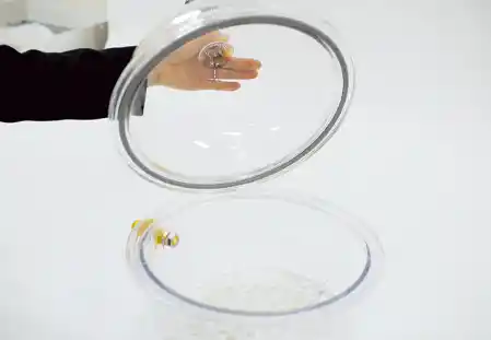 Cubic Vacuum Desiccators